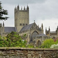 Buy canvas prints of Wells Cathedral by Sheila Ramsey