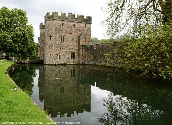 Palace Moat Wells Picture Board by Sheila Ramsey