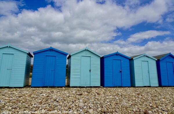 Beach Huts Charmouth Picture Board by Sheila Ramsey