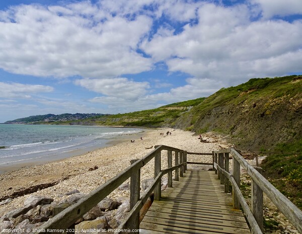 Charmouth beach Picture Board by Sheila Ramsey