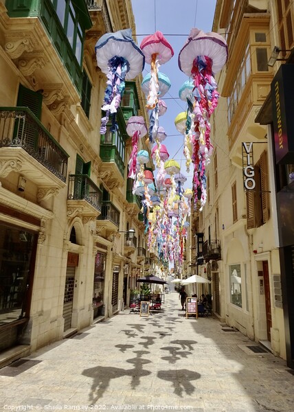 Street Decorations Valletta Picture Board by Sheila Ramsey