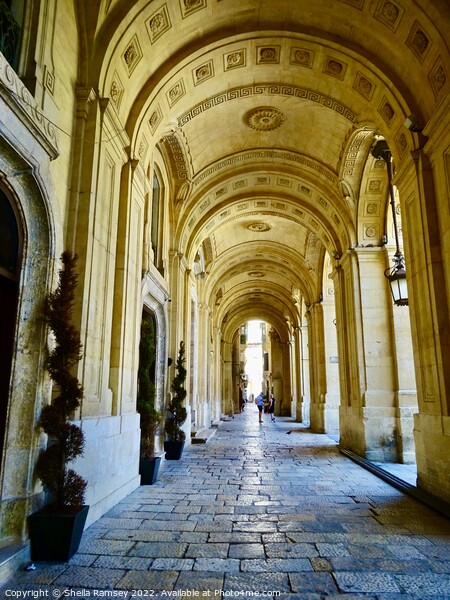 Arched walkway Valletta Picture Board by Sheila Ramsey