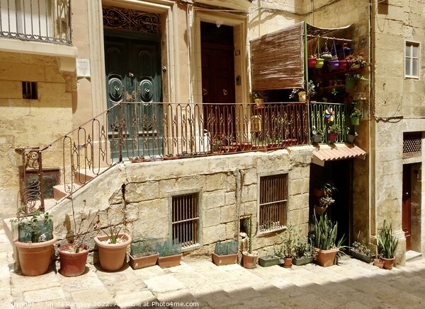 Valletta doorways Picture Board by Sheila Ramsey