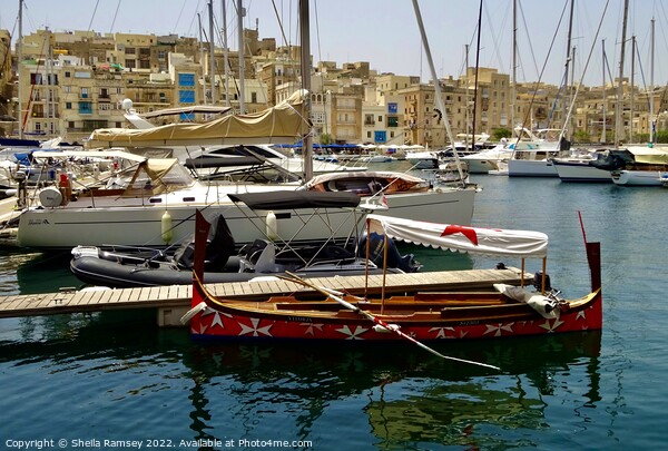 Maltese Cross Boat Picture Board by Sheila Ramsey