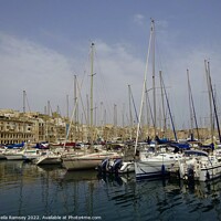 Buy canvas prints of Vittoriosa Harbour Malta by Sheila Ramsey