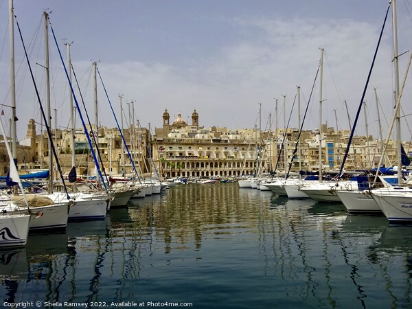 Vittoriosa Harbour Reflections Picture Board by Sheila Ramsey