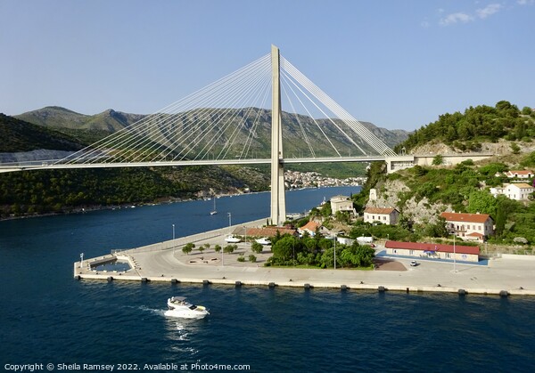 Franjo Tudman Bridge Dubrovnik Picture Board by Sheila Ramsey