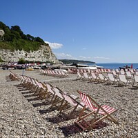 Buy canvas prints of Deckchairs Beer Beach by Sheila Ramsey