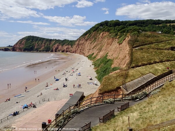The Beach At Sidmouth Picture Board by Sheila Ramsey