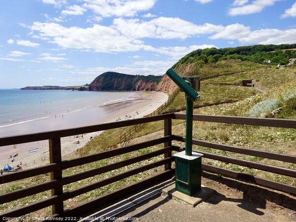 Viewpoint Over Sidmouth Beach Picture Board by Sheila Ramsey