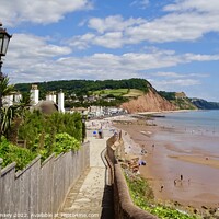 Buy canvas prints of Pathway To Sidmouth by Sheila Ramsey