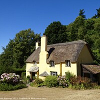 Buy canvas prints of Selworthy Cottage by Sheila Ramsey