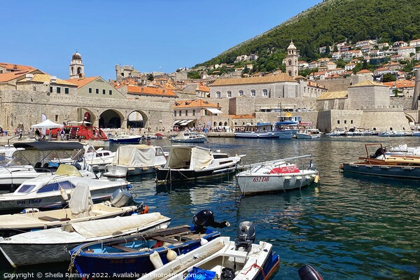 The Harbour Dubrovnik Picture Board by Sheila Ramsey
