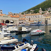 Buy canvas prints of The Harbour Dubrovnik by Sheila Ramsey