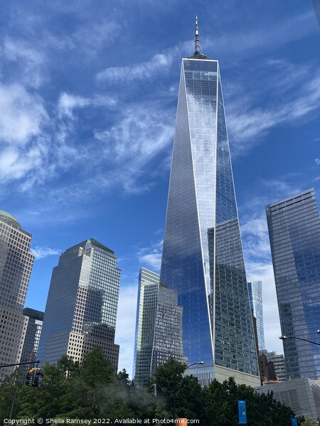 One World Trade Centre New York Picture Board by Sheila Ramsey