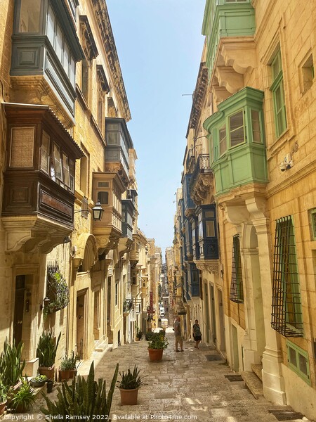 Valletta  Picture Board by Sheila Ramsey