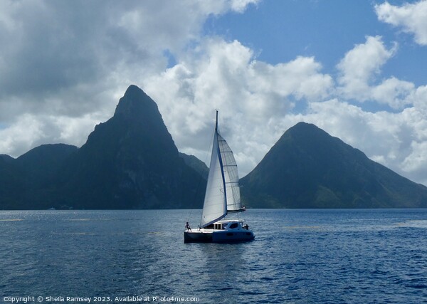 Pitons St Lucia Picture Board by Sheila Ramsey
