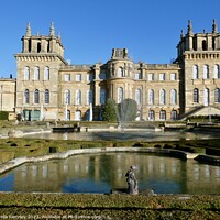 Buy canvas prints of Blenheim Palace by Sheila Ramsey