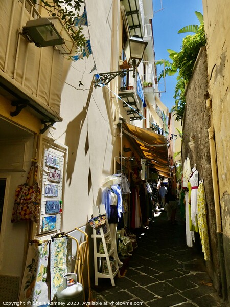 Shopping Street Sorrento Picture Board by Sheila Ramsey
