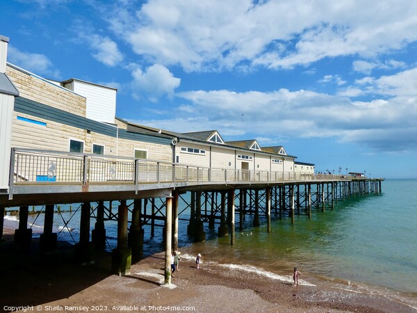 Teignmouth Pier Picture Board by Sheila Ramsey