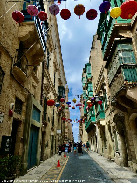 City Street Valletta Picture Board by Sheila Ramsey
