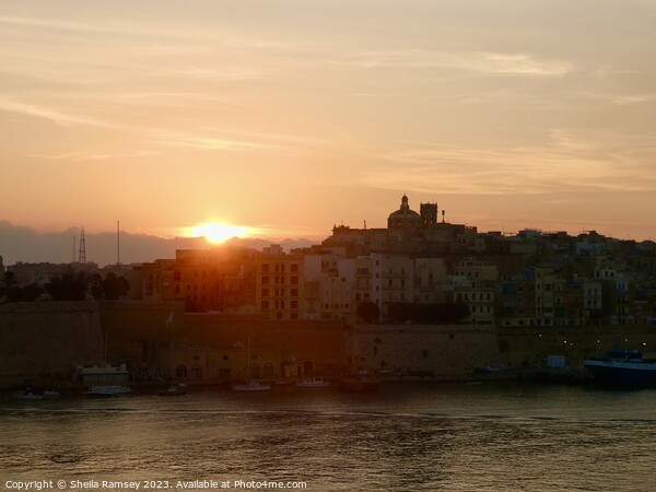 Sunrise over Valletta Picture Board by Sheila Ramsey