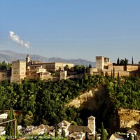 Buy canvas prints of The Alhambra Palace Granada by Sheila Ramsey