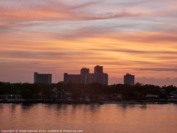 Sunrise over Fort Lauderdale Picture Board by Sheila Ramsey