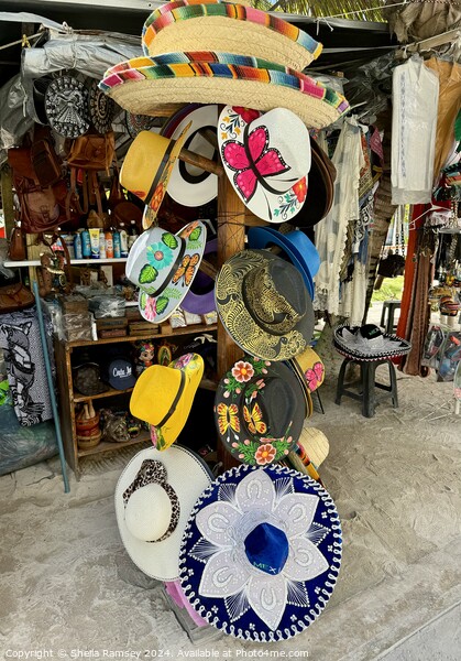 Mexican Hats  Picture Board by Sheila Ramsey
