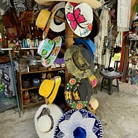 Buy canvas prints of Mexican Hats  by Sheila Ramsey