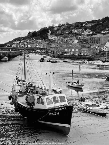 The Harbour At Mousehole Picture Board by Sheila Ramsey
