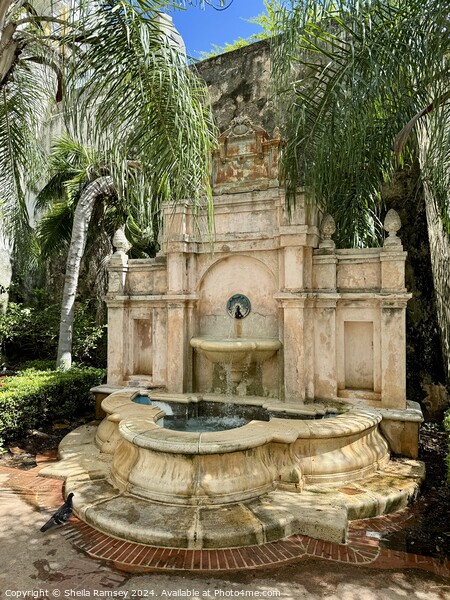 Water Fountain Old San Juan Picture Board by Sheila Ramsey