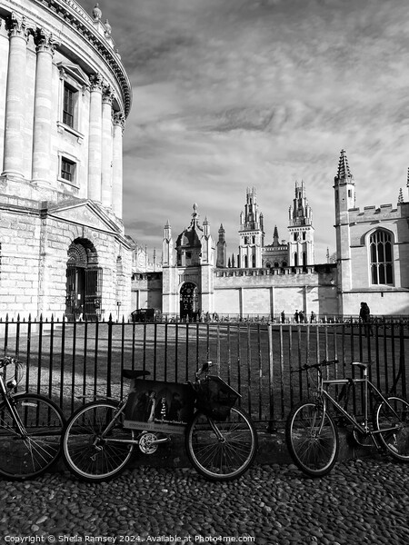 Oxford Spires And Bicycles Picture Board by Sheila Ramsey