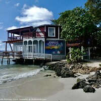 Buy canvas prints of Beach House Cozumel by Sheila Ramsey