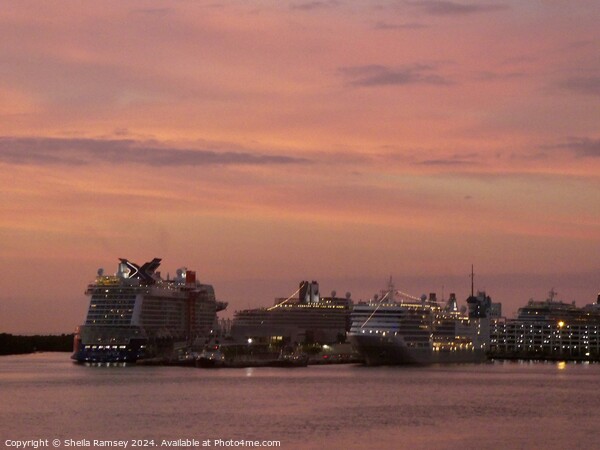 Cruise Ships At Sunrise Picture Board by Sheila Ramsey