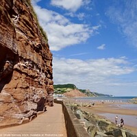 Buy canvas prints of Jurassic Coast Sidmouth by Sheila Ramsey