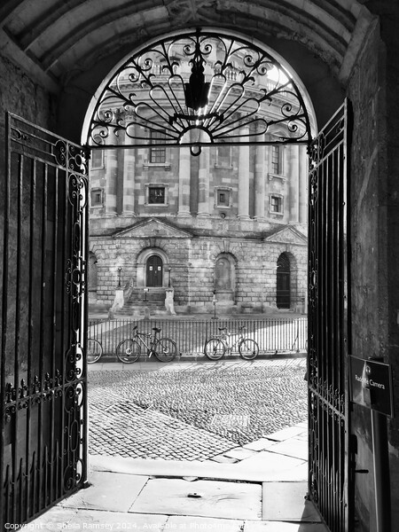 Archway To Radcliffe Camera Picture Board by Sheila Ramsey