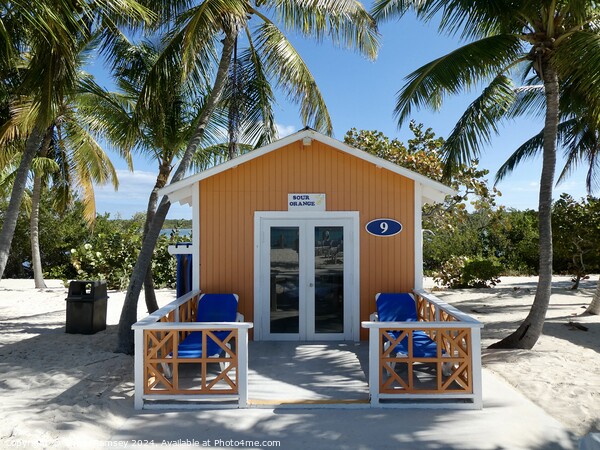 Sour Orange Beach Hut Bahamas Picture Board by Sheila Ramsey