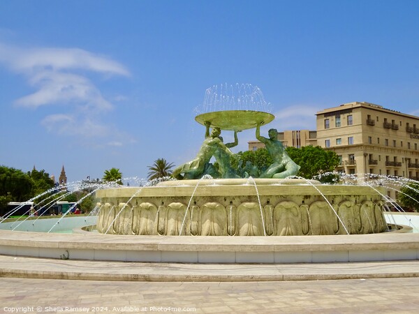 Triton Fountain Valletta Picture Board by Sheila Ramsey