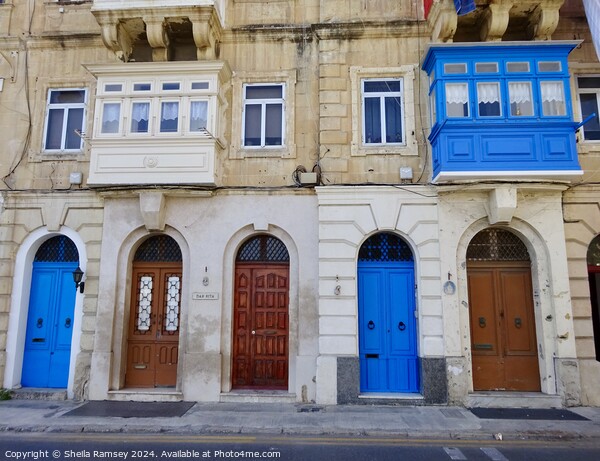 Valletta Doorways And Balconies Picture Board by Sheila Ramsey