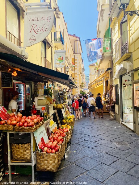 Shopping In Sorrento Picture Board by Sheila Ramsey