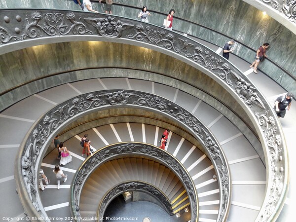 The Spiral Staircase Vatican Museum Rome Picture Board by Sheila Ramsey