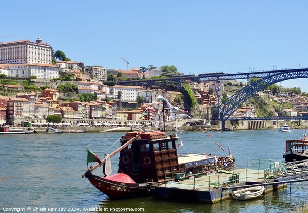 River Douro At Porto Portugal Picture Board by Sheila Ramsey