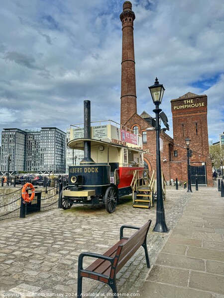 Royal Albert Dock Liverpool Picture Board by Sheila Ramsey