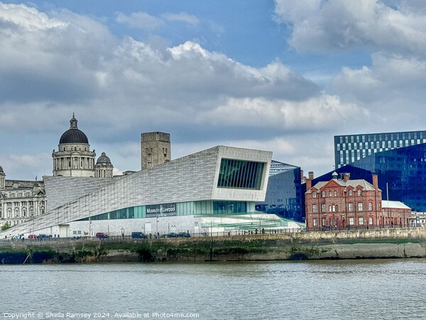 The Liverpool Museum Picture Board by Sheila Ramsey