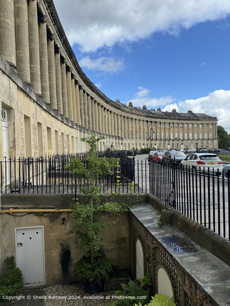 Royal Crescent Bath Architecture Picture Board by Sheila Ramsey