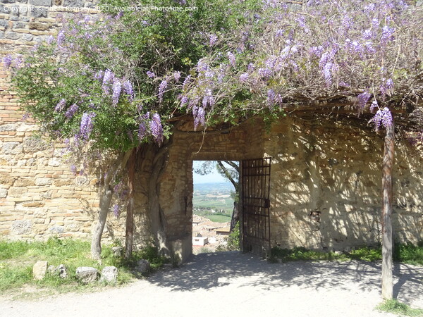 Tuscan Gateway Picture Board by Sheila Ramsey