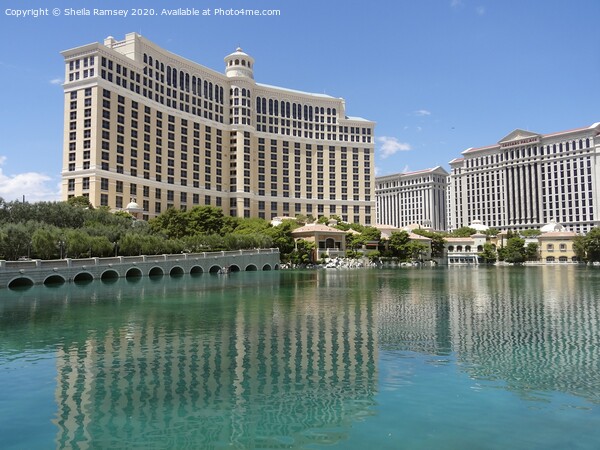 The Bellagio Hotel Las Vegas Picture Board by Sheila Ramsey