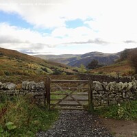 Buy canvas prints of Gateway to the valley Ullswater Lake District by Sheila Ramsey