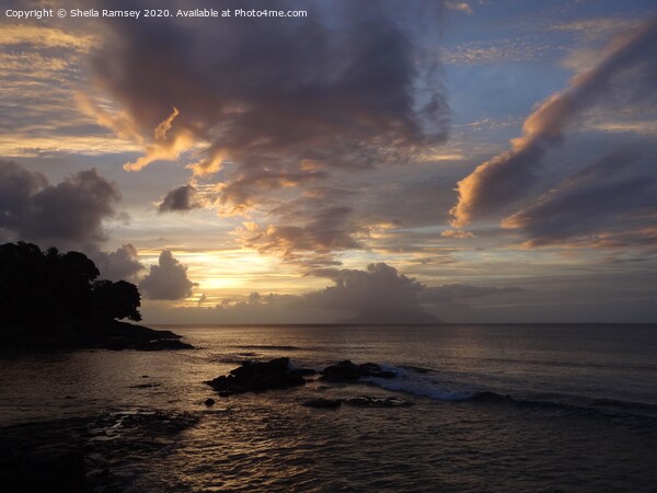 Seychelles sunset Picture Board by Sheila Ramsey